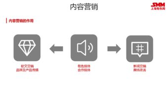 SMM整合营销战略发布 以互联网形式促企业利益最大化